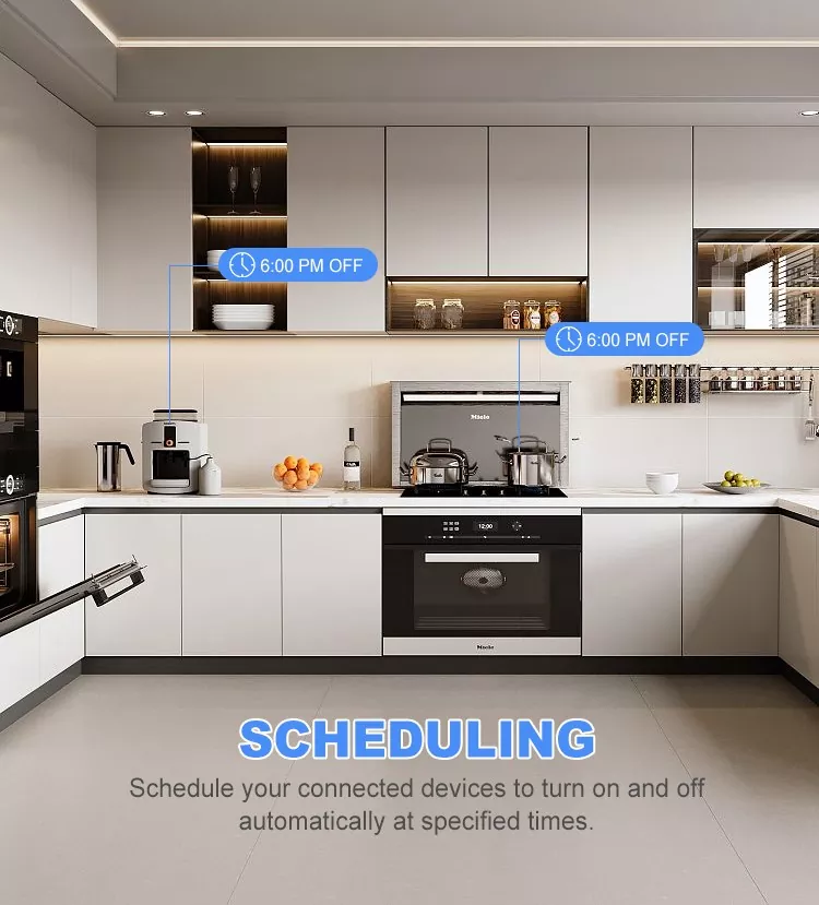 Tuya Smart US Wifi socket